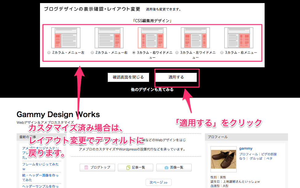 blog_ameba_jp_ucs_skin_srvskinpreview_do_skin_code_wu_pf_cssedit_use_layout_4